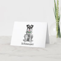 Schnauzer Dog l