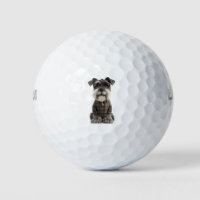 Schnauzer Dog Lover Golf Balls