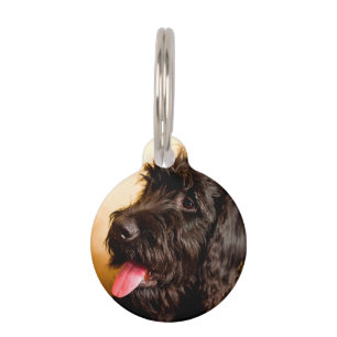 Schnauzer Dog Pet Tag