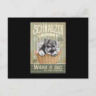 Schnauzer Dog Postcard