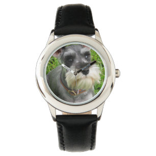 Schnauzer Dog Watch