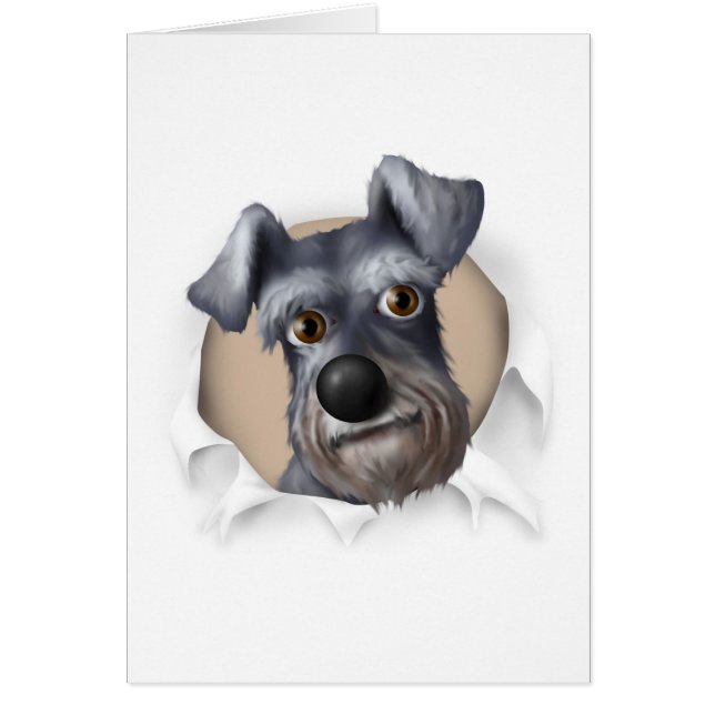 Schnauzer éclatant (Devant)