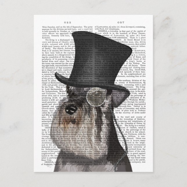 Schnauzer, Formal Hound and Hat Postcard (Front)