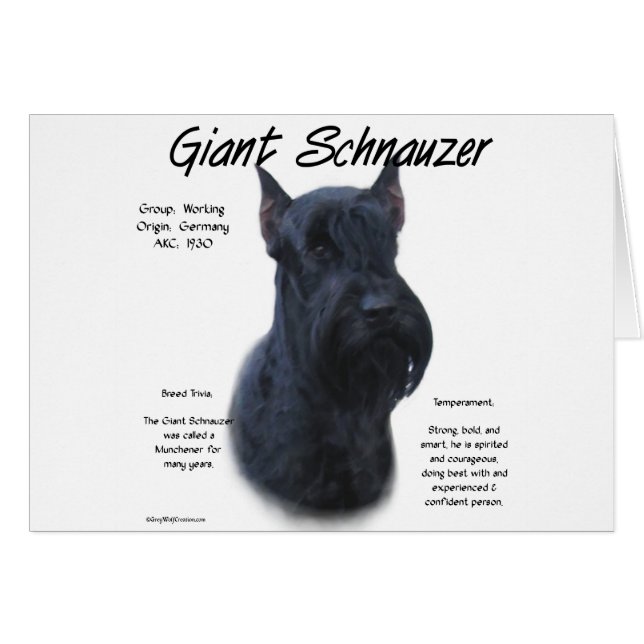 Schnauzer géant Conception de l'histoire (Devant horizontal)