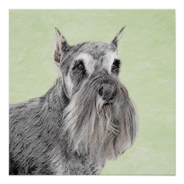 Schnauzer (Giant, Standard) Painting - Dog Art Poster (Front)