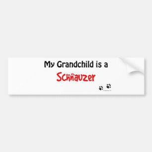 Schnauzer Grandchild Bumper Sticker