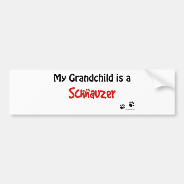 Schnauzer Grandchild Bumper Sticker (Front)