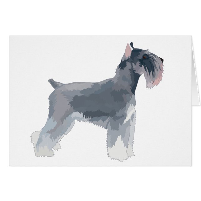 Schnauzer gris (Devant horizontal)