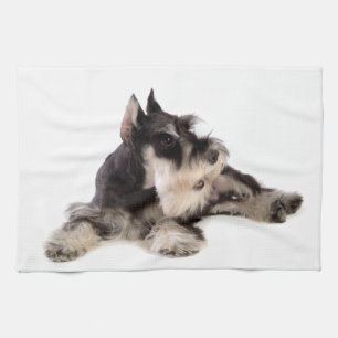 SCHNAUZER KITCHEN TOWEL