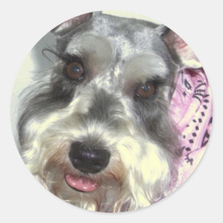 Schnauzer LOVE Classic Round Sticker