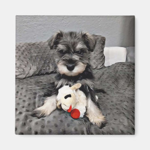 Schnauzer magnet 