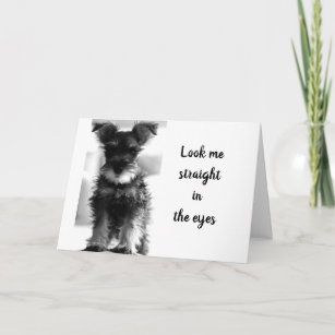 SCHNAUZER MAKES CASE FOR YOU CAN'T BE "40" CARD