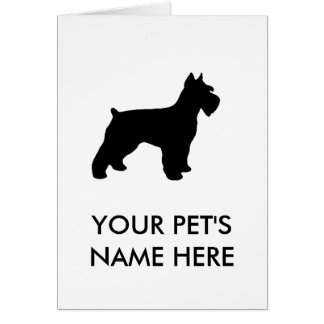 Schnauzer miniature