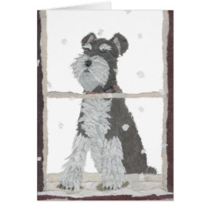 Schnauzer, neige, hiver, art de chien