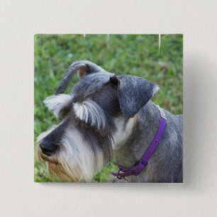 Schnauzer  Pin