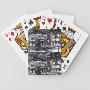 Schnauzer Playing Cards