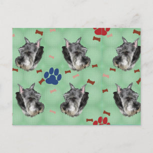 Schnauzer Portrait Postcard