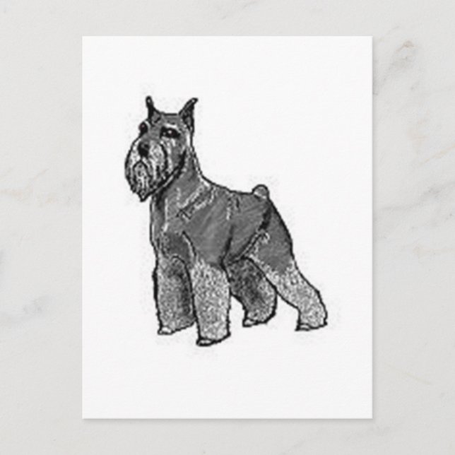 Schnauzer Postcard (Front)