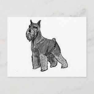 Schnauzer Postcard