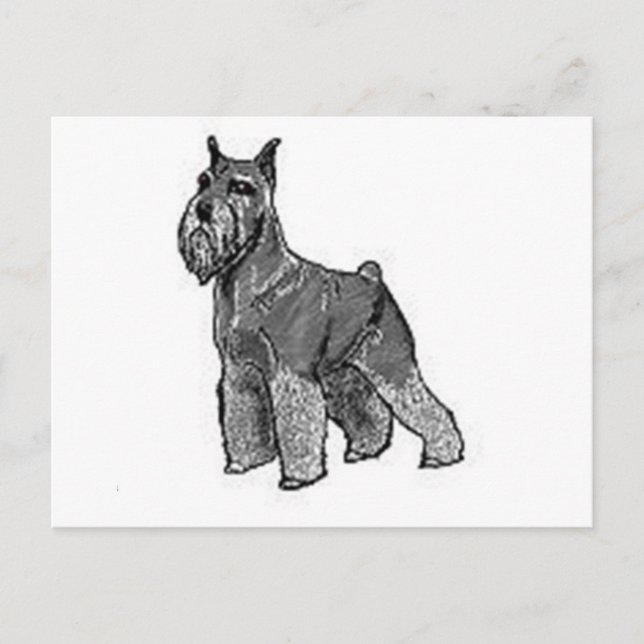 Schnauzer Postcard (Front)