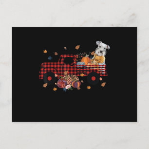 Schnauzer Pumpkin Truck Thanksgiving Halloween Holiday Postcard