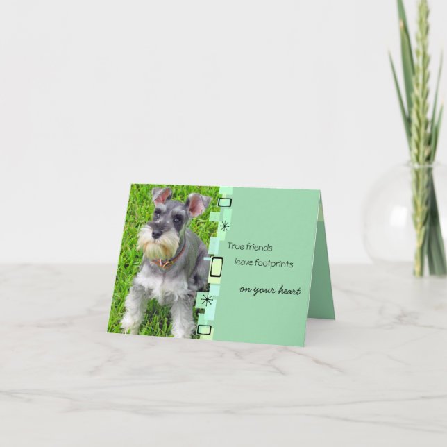 Schnauzer Puppy Birthday Greeting Card (Front)