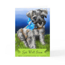 Schnauzer Puppy with Get Well Soon