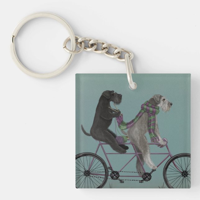 Schnauzer Tandem (Devant)