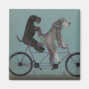 Schnauzer Tandem Magnet