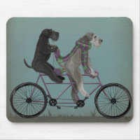 Schnauzer Tandem