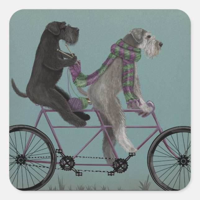 Schnauzer Tandem Square Sticker (Front)