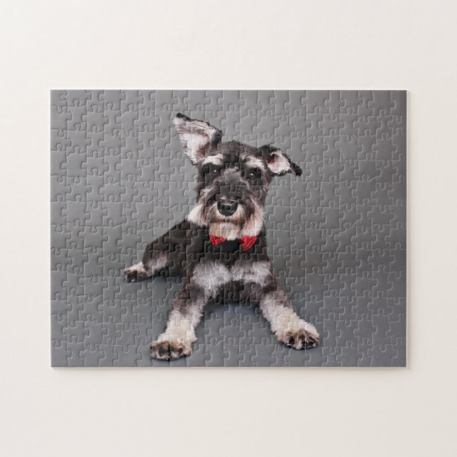 Schnauzer - Tom Dooley Jigsaw Puzzle (Horizontal)
