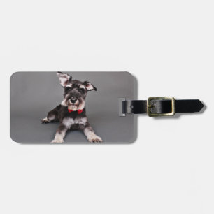 Schnauzer - Tom Dooley Luggage Tag