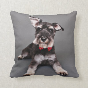 Schnauzer - Tom Dooley Throw Pillow