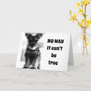 SCHNAUZER U STILL LOOK 69 NOT "70!!!!" CARD