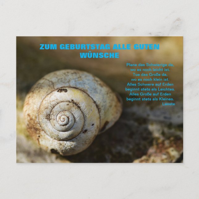 Schneckenpost Postcard (Front)