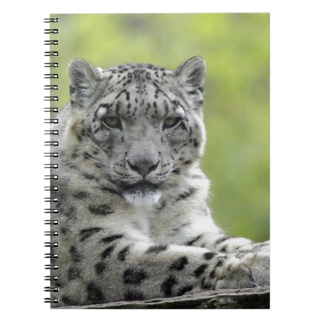 Schneeleopard Notebook (Front)