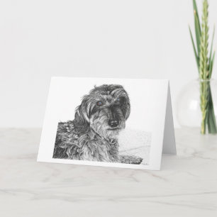Schnell - Blank Greetings Card