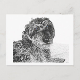 Schnell - Blank Postcard