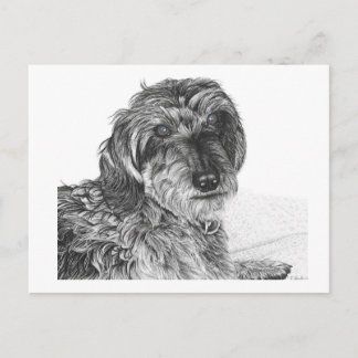 Schnell - Blank Postcard