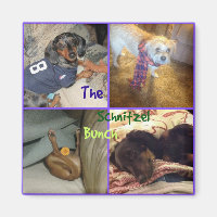 Schnitzel Bunch Magnet