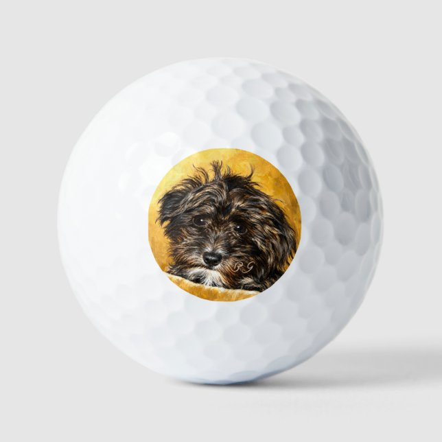 Schnoodle Coasters Golf Balls (Front)