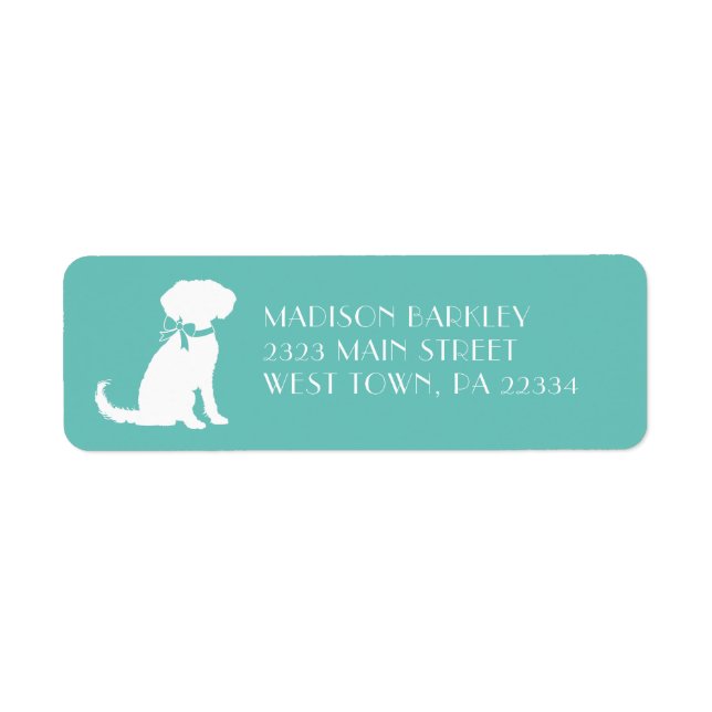Schnoodle Dog Puppy (Front)