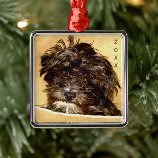 Schnoodle Square Ornament (Tree)