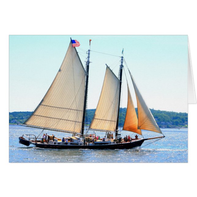 Schoailing au large du Maine (Devant horizontal)
