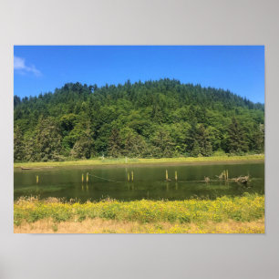 Scholfield Creek, Reedsport, Oregon Poster