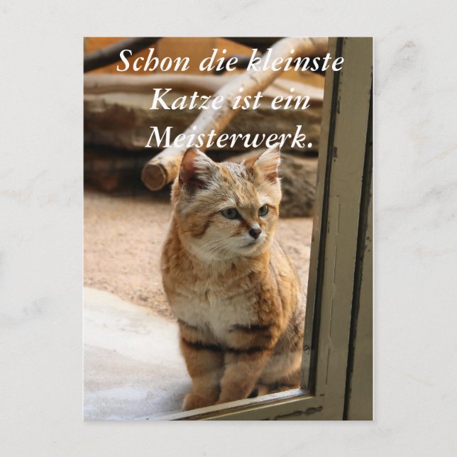 Schon die kleinste Katze ist ei... Postcard (Front)