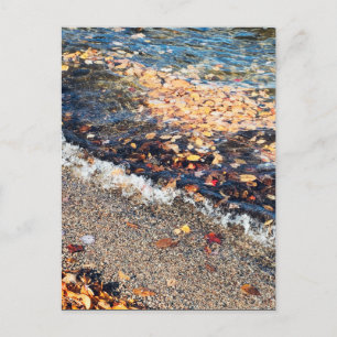 schoodic bay in the fall postcard