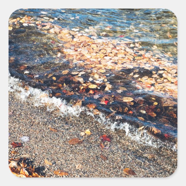 schoodic bay in the fall square sticker (Front)