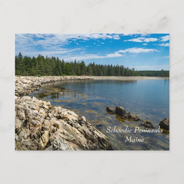 Schoodic Peninsula in Maine Postcard (Front)